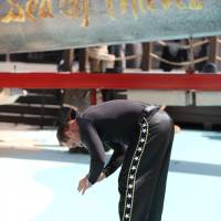 Human Cannonball